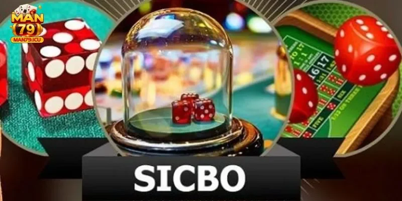 Tổng quan sicbo online